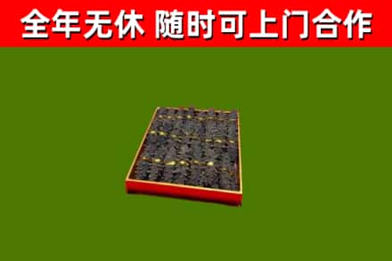 肥城回收海参